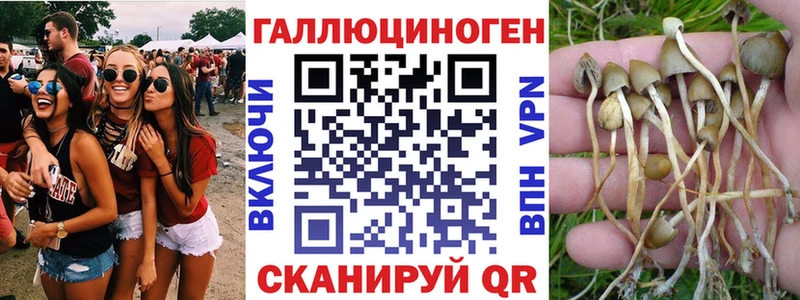 Купить  Рязань  Галлюциногенные грибы прущие грибы 