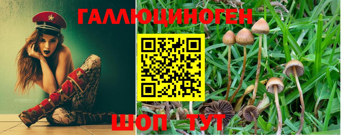 Рязань  Галлюциногенные грибы Magic Shrooms  хочу   Вход с VPN 