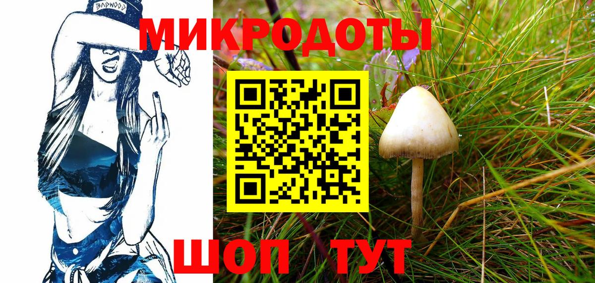 Галлюциногенные грибы Psilocybe  Рязань 