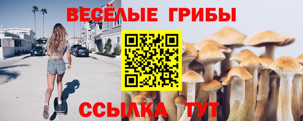 Мефедрон   НБОМе  COCAIN  Магазины продажи наркотиков  LSD-25  Альфа ПВП СК   Канабис  Вход с VPN  Конопля  Рязань  ГАШИШ 